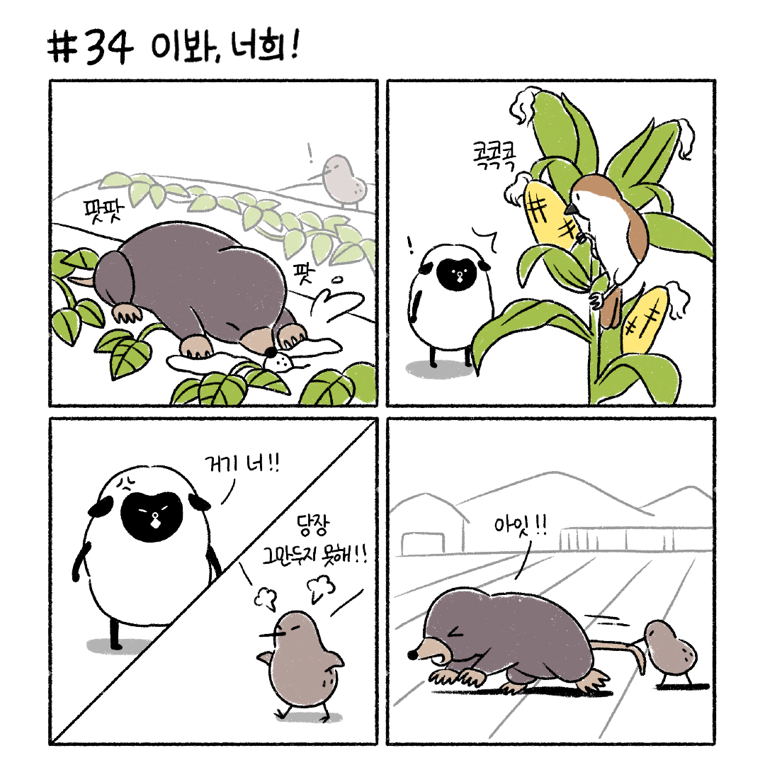 collaboration_image